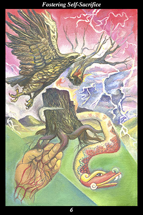 06